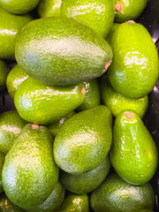 Glossy ripe avocados arranged neatly at a produce stand.