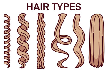Chart visually categorizes different hair textures from tight curls and coils to straight hair. Ideal for educational materials, beauty standards, or inclusive hair care illustrations