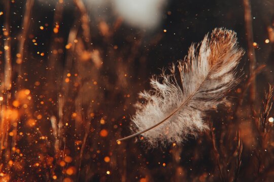 A single feather floats amidst autumnal foliage and glittering particles.