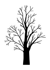 Obraz premium Big hand drawn Bare tree silhouette, decorative leafless botany design element, natural organic eco plant system, outdoor autumn or winter isolated clip art for fabric, Halloween, wood graphic