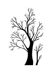 Big hand drawn bare tree silhouette, decorative leafless botany design element, fairy forest tree, outdoor autumn or winter isolated clip art for fabric, Halloween, wood graphic line art