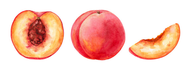 Set watercolor peaches on a white background. Hand drawn illustration for design, kitchen decor, fabric textile design, packaging, menu, postcard