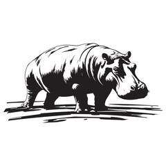 Black silhouette of Hippopotamus illustration icon for logo, isolated on white background, Hippopotamus line art silhouette