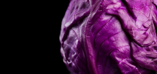 Red cabbage macro shot, whole head of cabbage over black background, border design. Eco vegetables,  bio violet cabbage, vegan food, heathy eating concept 