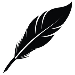 Solitary Black Feather Floating on a White Backdrop, Quill Pen Aesthetics Depicted