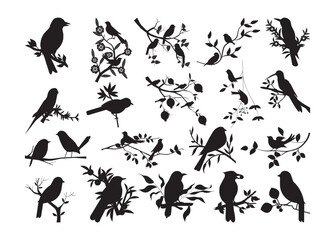 Birds on Branches vector bundle, Birds on Branches clipart, Birds on Branches silhouette.	