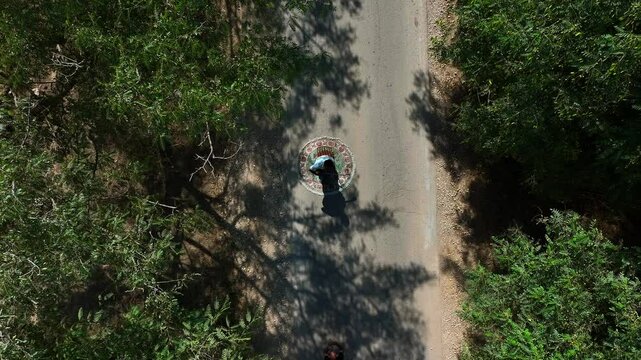 Aerial: Drone Top Lockdown Shot Of Man Playing Musical Instrument On Rug Amidst Green Trees In Jungle - Tel Arad, Israel