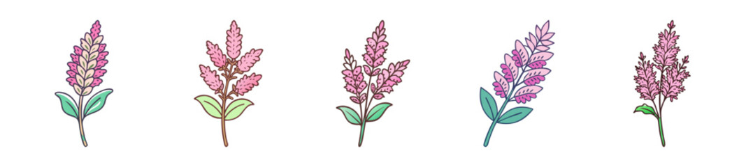 Obraz premium astilbe flower icon, astilbe flower line art - simple line art of astilbe flower, perfect for astilbe flower logos and icons