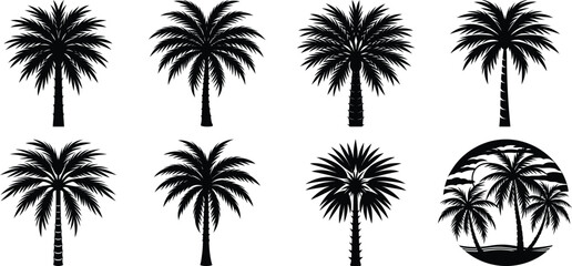 set of palms with PNG