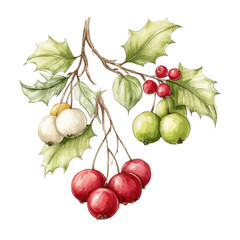 Watercolor painting of festive red berries and green leaves on white background.