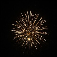 Naklejka premium Sparkling Firework Burst in golden colors on black background.j