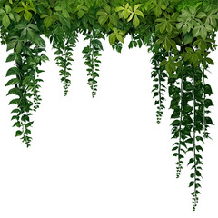 Obraz premium Lush Green Hanging Vines and Leaves Tropical Foliage Frame for Design