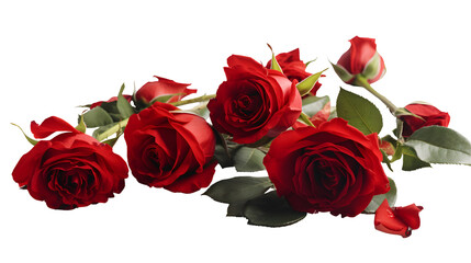 Fototapeta premium red roses transparent background png