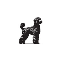Lagotto Romagnolo Dog Silhouette – A charming outline of this curly-coated truffle hunter, showcasing its compact build, lively posture, and loyal temperament in clean vector form.
