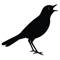 Obraz premium nightingale-bird-singing-silhouette-isolated-on-wh (3).eps