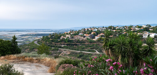 Charming coastal village with red-roof houses nestled on a hillside, overlooking farmland, the sea, and vibrant summer flora. Panoramic view. Zikhron Ya'akov, Israel.