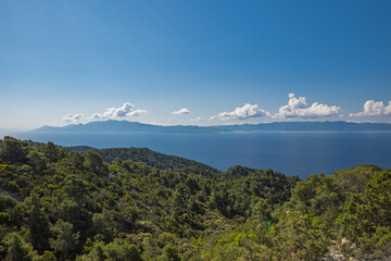 Olive trees on the island of Hvar in Dalmatia overlooking the Pelješac peninsula