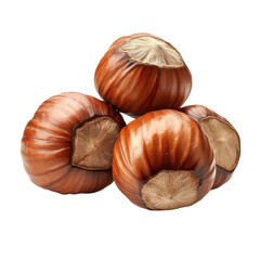 Obraz premium Forest nuts hazelnuts arranged neatly on white background highlighting their rich color and texture, Forest nuts hazelnuts isolated on white background