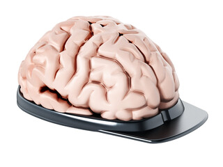 Human brain on security cap on transparent background. 3D illustration