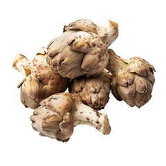 Jerusalem artichoke cluster on a clean Transparent background for culinary and nutritional exploration, Jerusalem artichoke on PNG background