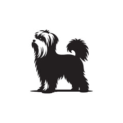 Elegant Maltese Dog vector silhouette featuring a long, flowing coat, compact frame, and graceful posture. Ideal for pet art, breed illustrations, clipart, and design elements.
