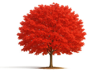 Majestic red maple tree with vibrant autumn foliage, isolated on a transparent background, perfect for adding a touch of fall to any project