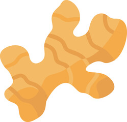 ginger root flat isolated silhouette