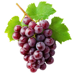 Fototapeta premium Fresh red grapes with vibrant green leaves isolated against Transparent background for culinary use, Red grapes isolated on PNG background