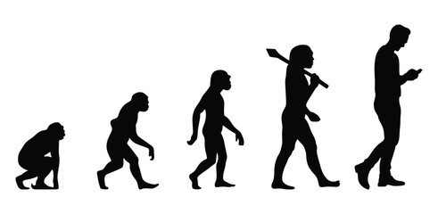 Human evolution vector.