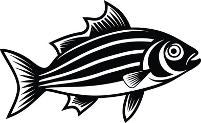 striped bass fish isolated silhouette 