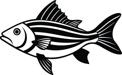 striped bass fish isolated silhouette 