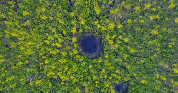 Aerial view of a marsh with a round lake