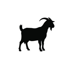 Cute boer goat silhouette isolated on white background. Boer goat icon vector illustration design.