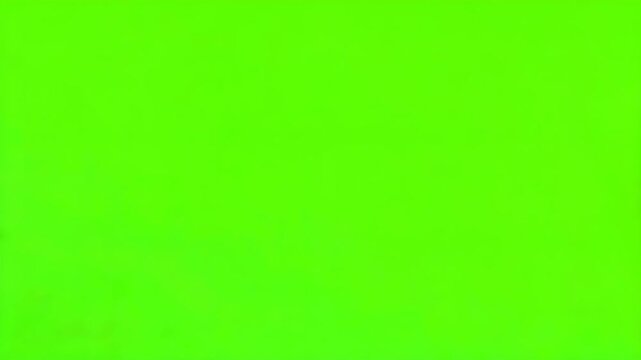 beer cheers on Green Screen