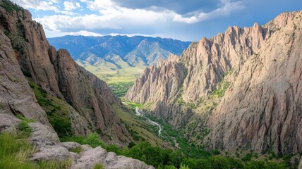 Winding River Cutting Through a Vast Canyon