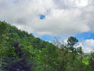Great Smoky Mountains, North Carolina, USA
