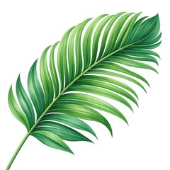 green leaf isolated on white background