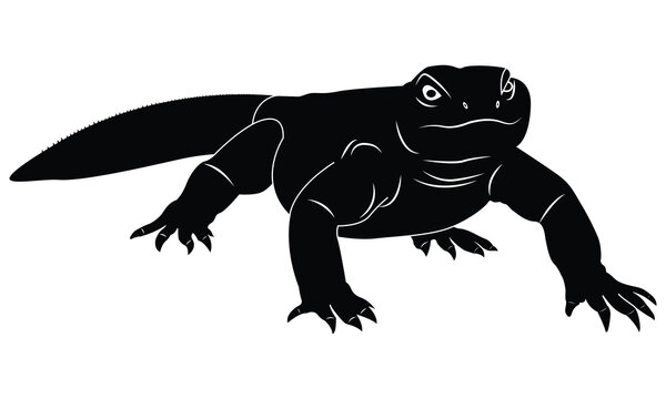  sanda vector illustration black and white