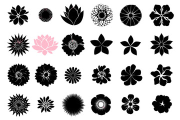 Flower Shape Vector Floral Icon Set Silhouettes Symmetrical Patterns Lotus Petals Abstract Blossoms Nature Design Elements Illustration