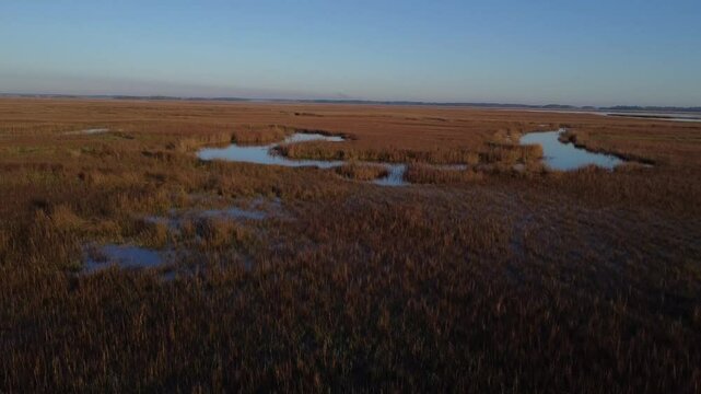 Savannah, Georgia, marsh, wetlands