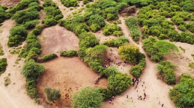Village in Tanzania, Africa. Aerial view. Maasai people.