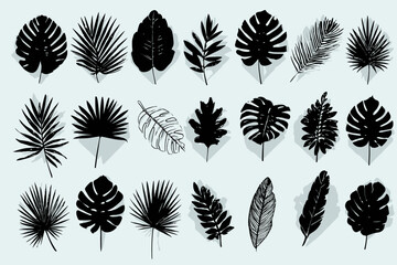 Tropical Palm Leaves Silhouettes Vector Black Shapes Design Elements Artistic Leaf Embellishments