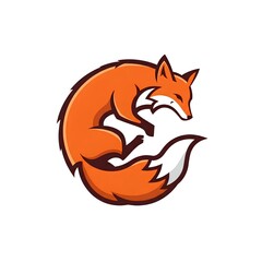 Obraz premium Adorable Curled Fox Design Perfect for Logos Branding Mascots and Illustrations Featuring a Cute Orange Fox with a Fluffy Tail on a White Background