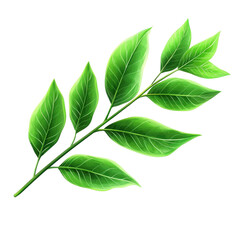 Obraz premium Vibrant green leaves illustrating lush foliage on a clean white background for design inspiration, illustrationgreen leaves on isolated on white background