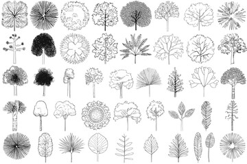 Tree Top View Vector Set with Leaf Icons and Plant Illustrations for Landscape Design