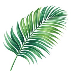 Obraz premium green leaf vector illustration on white background