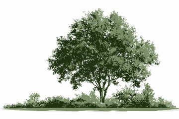 Watercolor Green Tree Forest Side View Vector Isolated for Landscape Architecture Garden Environment Shrub Section Elements