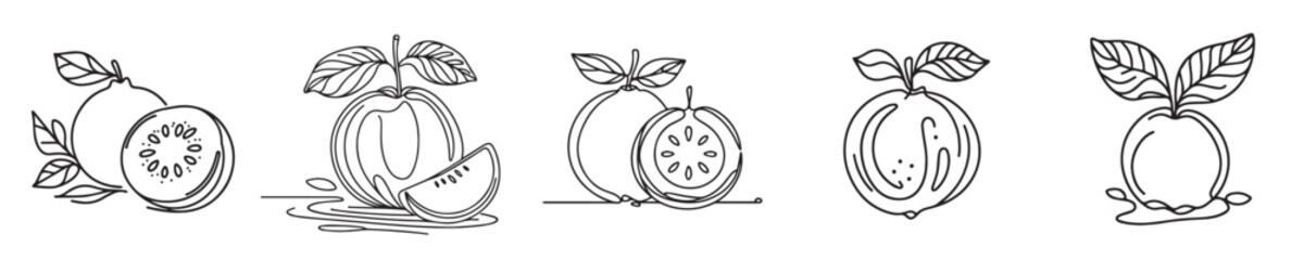 guava fruit vector continuous line style