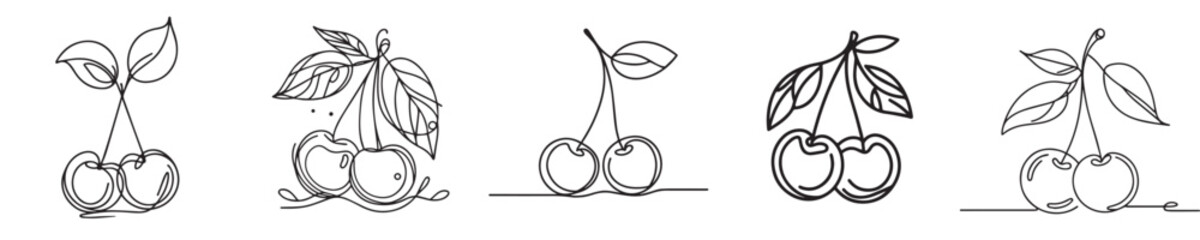 cherry fruit vector continuous line style