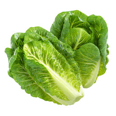 Fototapeta premium Fresh green romaine lettuce leaves healthy food ingredient